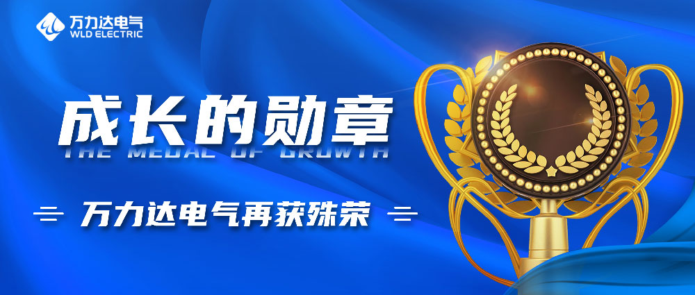 成長的勛章！萬力達(dá)電氣再獲殊榮